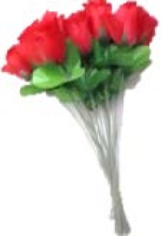 rosas 2